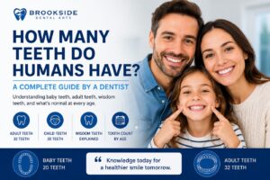 How Many Teeth Do Humans Have