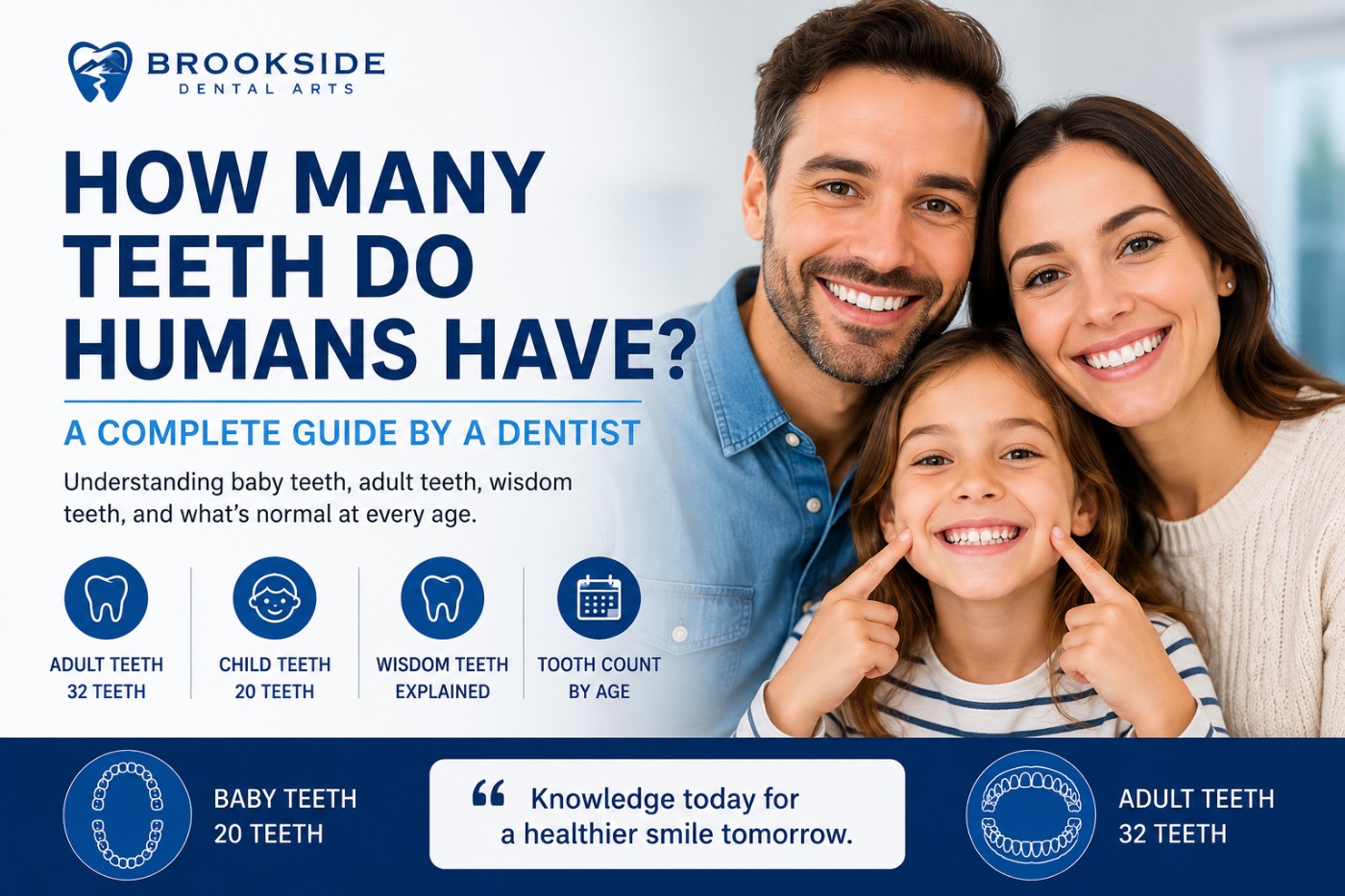 How Many Teeth Do Humans Have